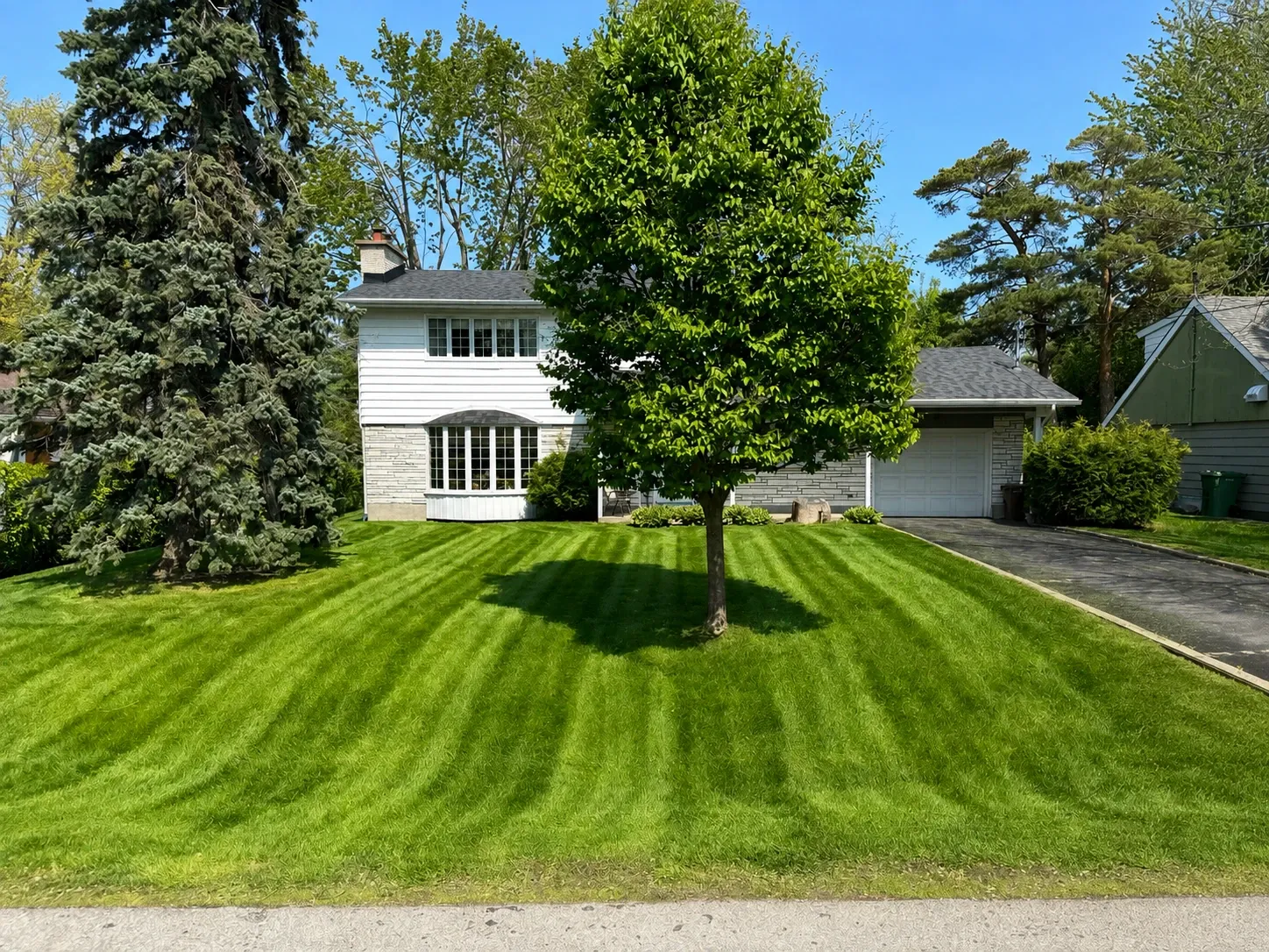 Freshly cut striped residential lawn in front of a Montréal-area home.
