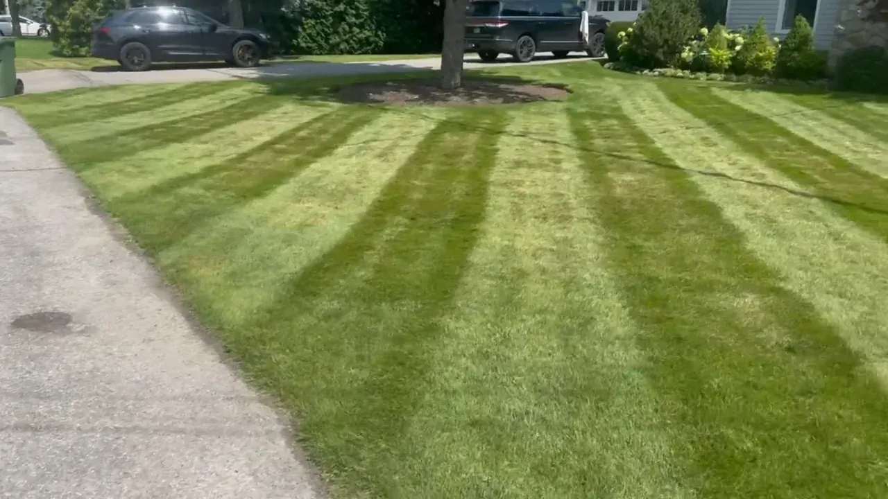 Freshly cut striped lawn and landscaped residential property in summer.